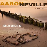 Přední strana obalu CD Aaron Neville