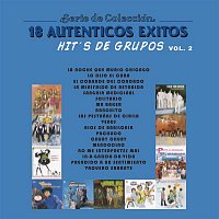 Various  Artists – Serie de Colección 18 Auténticos Éxitos  Hit´s de Grupos, Vol. 2