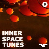Brown Smith, Grey – Inner Space Tunes, Vol. 9