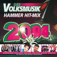 Různí interpreti – Der Volksmusik Hammer Hit-Mix 2004