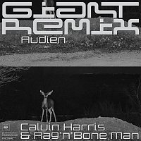 Calvin Harris, Rag'n'Bone Man – Giant (Audien Extended Remix)