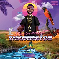 Okmalumkoolkat – Bhlomington