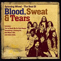 BLOOD, Sweat & Tears – The Best Of