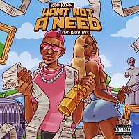 Kidd Kenn, Baby Tate – Want Not A Need