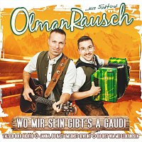 Wo mir sein gibt’s a Gaudi - Falsch oder richtig - Janina, du hast umsonst geweint - Du bist wia mei Lederhosen