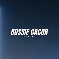 Přední strana obalu CD Bossie Gacor