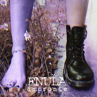 Enula – Impronte