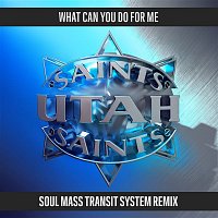 Utah Saints – What Can You Do For Me (Soul Mass Transit System Remix)