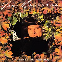 Van Morrison – A Sense of Wonder