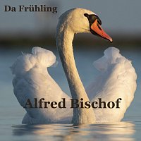 Alfred Bischof – Da Frühling (Live)