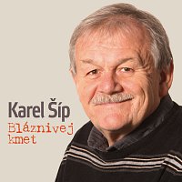 Různí interpreti – Karel Šíp - Bláznivej kmet FLAC