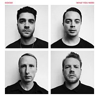 GOOSE – What You Need