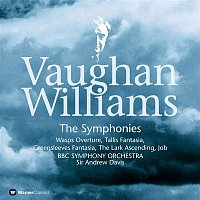 Přední strana obalu CD Vaughan Williams : Symphonies Nos 1 - 9 & Orchestral Works