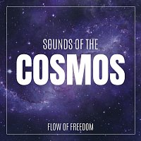 Flow of Freedom – Sounds of the Cosmos