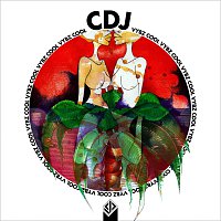 CDJ – Cool Vybz