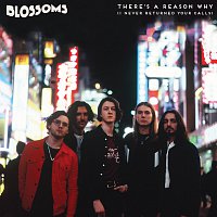 Blossoms – There's A Reason Why (I Never Returned Your Calls)