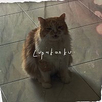 empty page. – lupakanku