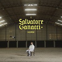 Salvatore Ganacci – Horse