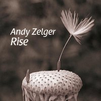 Andy Zelger – Rise