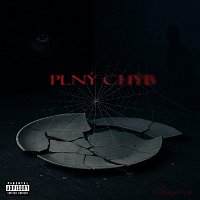 Přední strana obalu CD PIný Chýb