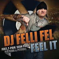 DJ Felli Fel, T-Pain, Sean Paul, Flo Rida, Pitbull – Feel It