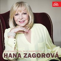 Přední strana obalu CD Co si napsal(a), to si zazpíval(a)... Hana Zagorová