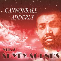 Skyey Sounds Vol. 7