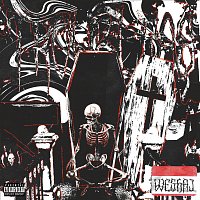 Přední strana obalu CD Troubless (feat. FlpThug)