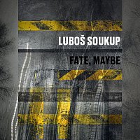 Přední strana obalu CD Fate, Maybe