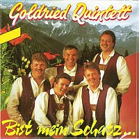 Goldried Quintett – Bist mein Schatz