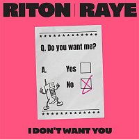 Riton x RAYE – I Don't Want You