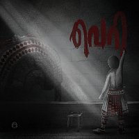 Přední strana obalu CD Veri