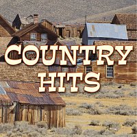 Různí interpreti – Country - Hits