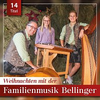 Weihnachten mit der Familienmusik Bellinger