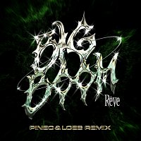 Reve – Big Boom [PINEO & LOEB Remix]