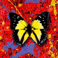 Ed Sheeran – 2step (feat. 1.Cuz)