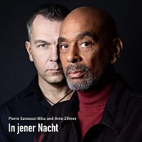 Pierre Sanoussi-Bliss, Arno Zillmer – In jener Nacht