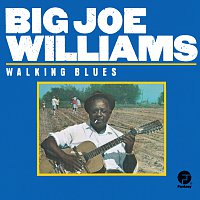 Big Joe Williams – Walking Blues