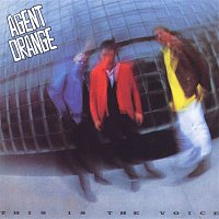 Přední strana obalu CD This Is The Voice