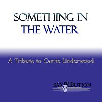 Saxtribution – Something in the Water - A Tribute to Carrie Underwood