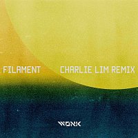 WONK, Charlie Lim – Filament [Charlie Lim Remix]