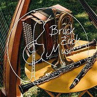 Přední strana obalu CD BruckZuck Polka