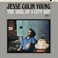 Jesse Colin Young – The Soul Of A City Boy