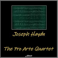 Přední strana obalu CD Joseph Haydn