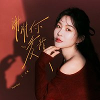 Přední strana obalu CD ?????