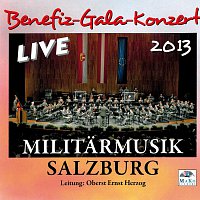 Benefiz-Gala-Konzert 2013 - Live