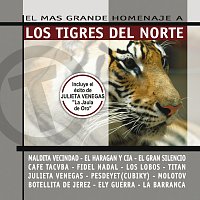 Přední strana obalu CD El Mas Grande Homenaje A Los Tigres Del Norte [Reissue]