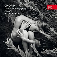 Přední strana obalu CD Chopin: Sonáta h moll, Scherza