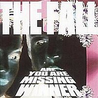 The Fall – Are You Are Missing Winner (Deluxe Edition)