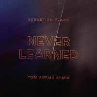 Sebastian Plano, Tom Adams – Never Learned [Vocal Rework]